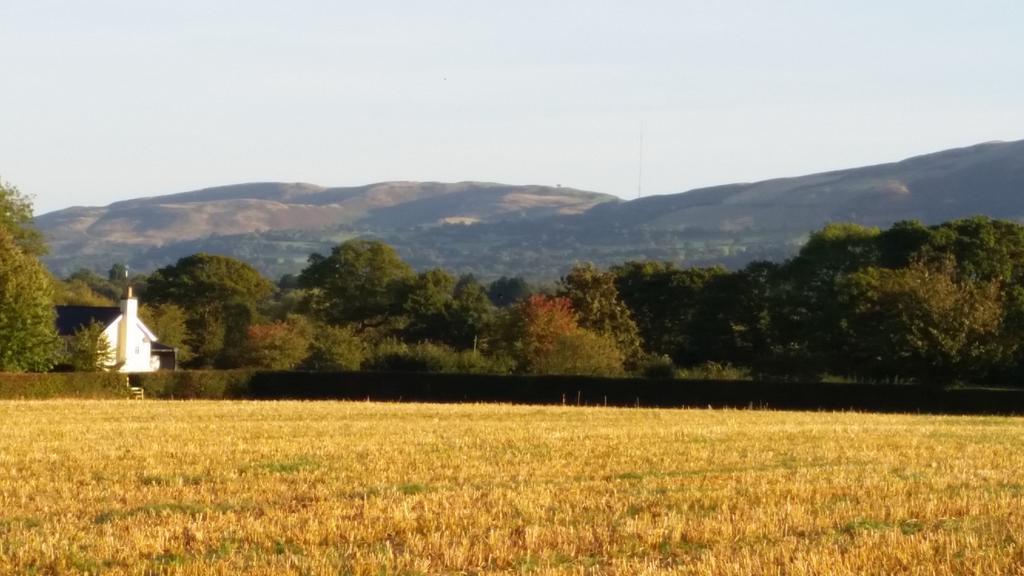 Ty Derw Country House B&B Ruthin Extérieur photo